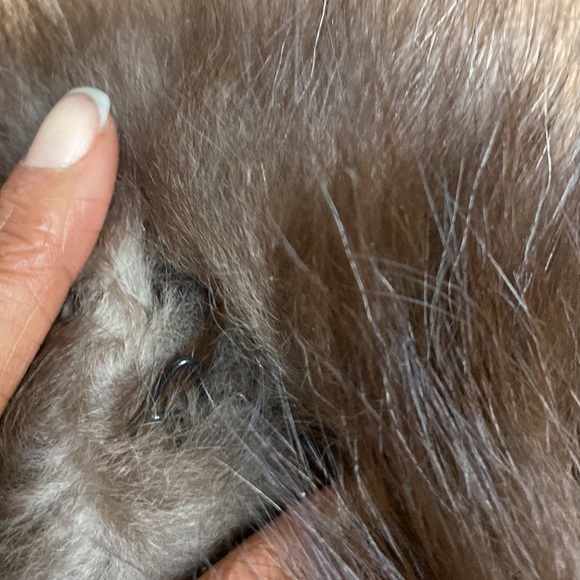 Genuine Fox Fur Accessory# 64. - Picture 9 of 11